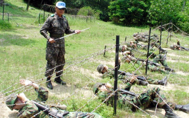 만든곳: 한국 네티즌본부 카페