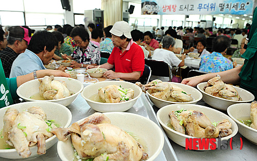 만든곳: 한국 네티즌본부 카페