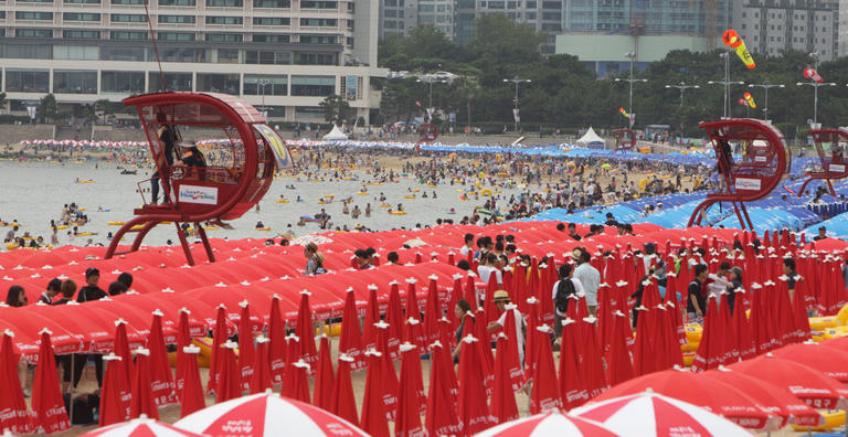 만든곳: 한국 네티즌본부 카페