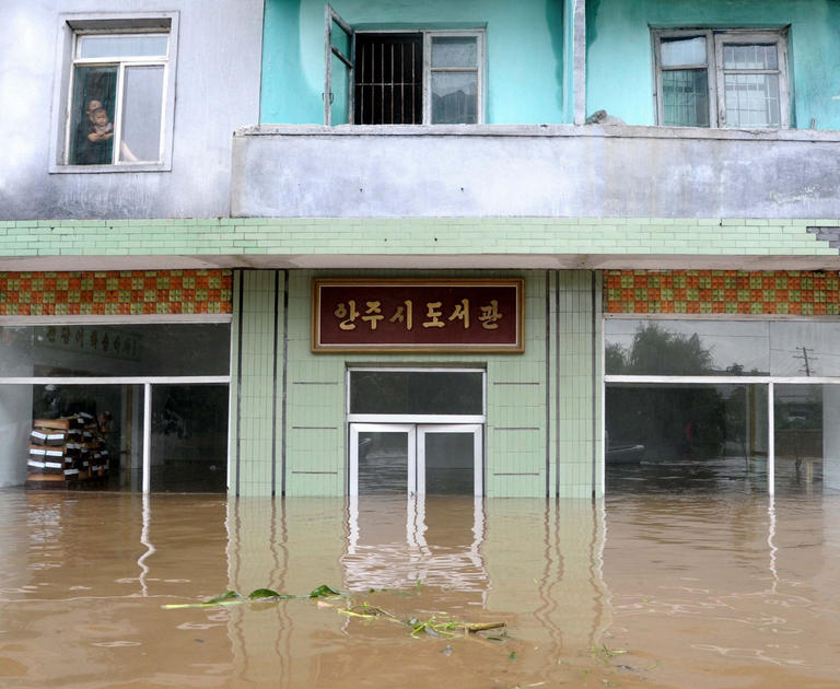 만든곳: 한국 네티즌본부 카페