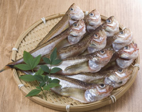 [신문은 선생님] [도전! 창의퀴즈왕] 은어에서 묵으로… 도로 '묵' 된 까닭은?