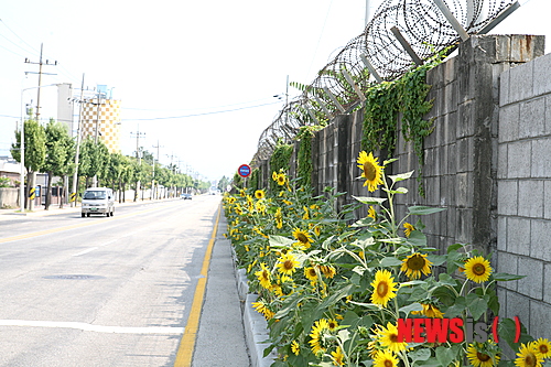 만든곳: 한국 네티즌본부 카페