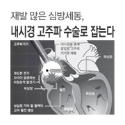 ��� ���� �ɹ漼��, ���ð� ������ ������ ��´�