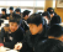 남자 중·고교생 29% 