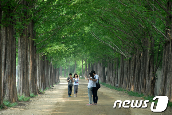 만든곳: 한국 네티즌본부 카페