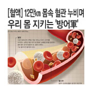 [����] 12���� ���� ���� ����� �츮 �� ��Ű�� '�����'