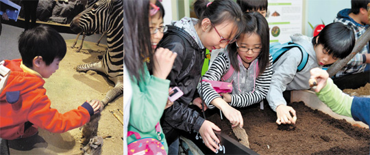 박물관·공연·전시… 아이 눈높이 맞춰 골라보세요