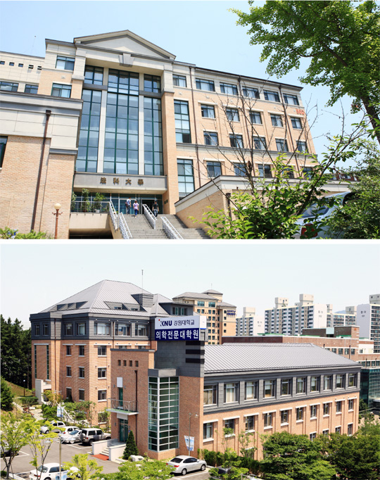 [국립 강원대학교] 실전에 강한 창의적 법조·의료인 키운다