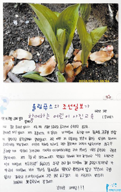 [PIE 사진활용교육] 어항 속 금붕어 사진찍은 아이 "제 꿈은 자유예요"