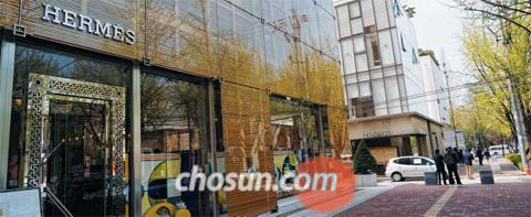 서울 신사동 도산공원 앞 거리에 있는 에르메스와 H스턴 등 명품 매장들. 도산공원 인근 지역은 고급 브랜드들이 모여들면서 최근 입점 경쟁이 벌어지고 있다