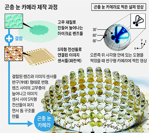 
	곤충의 겹눈을 모방한 반구형(半球形) 디지털 카메라.해상도는 마이크로 렌즈와 비슷한 수의 홑눈을 가진 불개미의 눈과 비슷하다
