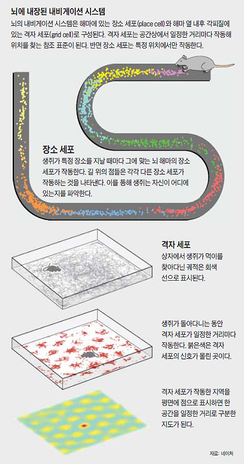 뇌에 저장된 내비게이션 시스템 개념도