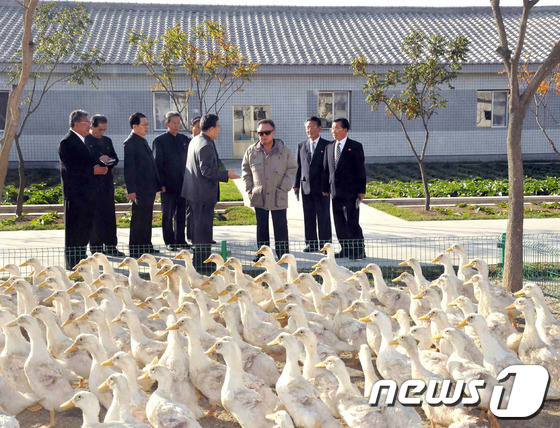 만든곳: 한국 네티즌본부 카페