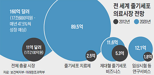 
		전 세계 줄기세포 의료시장 전망 그래프
