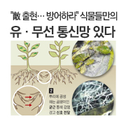 "�� ������ ����϶�" �Ĺ��鸸�� �������� ��Ÿ� �ִ�
