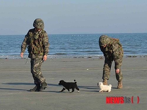 사진이 안보일 때→우측클릭→'사진보기' 클릭, OK. ☞작성: Daum카페: 한국 네티즌본부