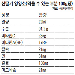 
	산딸기 영양소 정리 표
