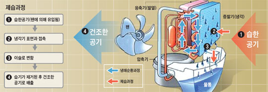 [NIE(신문활용교육)] [생생뉴스 NIE] 제습기를 틀면 왜 '뽀송'해질까?