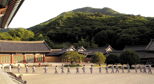 
	좌선용 방석을 안고 예불에 참석하기 위해 경내를 가로지르고 있는 여름수련법회 참가자들. 정치권의 막말과 스포츠 스타의 SNS 설화(舌禍) 파문으로 유난히 시끄러웠던 여름, 이들은 “백마디, 천마디의 말보다 침묵이 더 강력한 각성을 안겨준다는 사실을 깨달았다”고 말했다.
