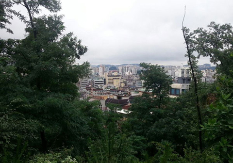 
	성미산에서 바라본 성미산마을 모습. 성미산학교, 성미산마을극장 등 30여개의 기관이 마을공동체를 주도하고 있다.
