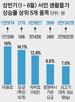 
	상반기 서민 생활물가 상승률 상위 5개 품목 그래프
