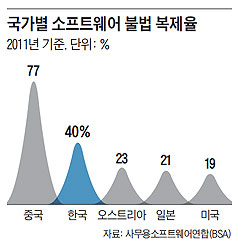 
	국가별 소프트웨어 불법 복제율.
