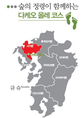 올레 이미지