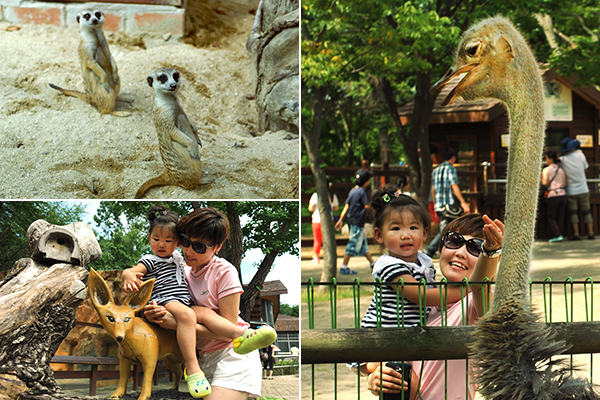 인천 대공원 동물원
