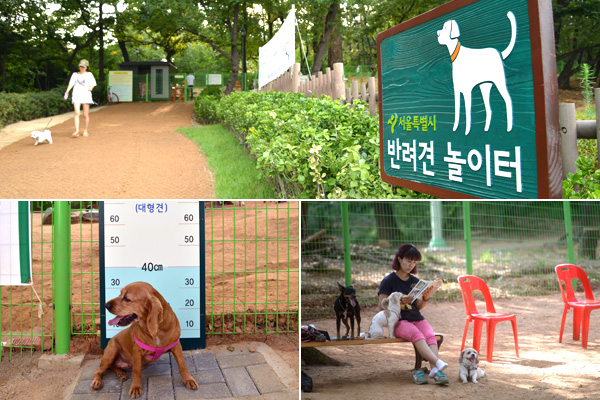 반려견 놀이터(위)의 공간은 중·소형견용과 대형견용으로 애완견의 크기 구별(왼쪽 아래) 후 이용할 수 있다.