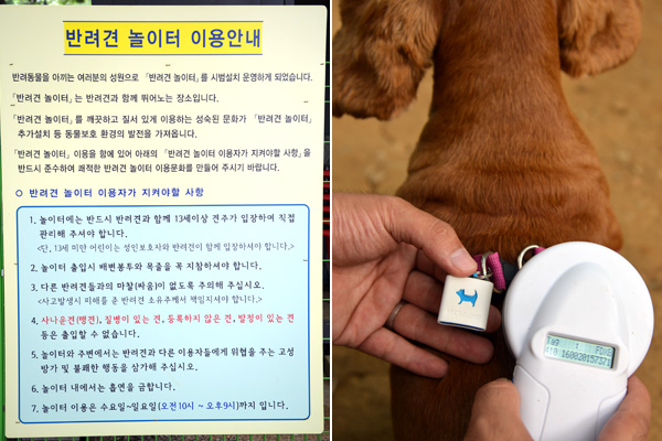 반려견 놀이터 이용안내문(왼쪽), 이곳을 이용하려면 동물등록(오른쪽)을 해야한다.