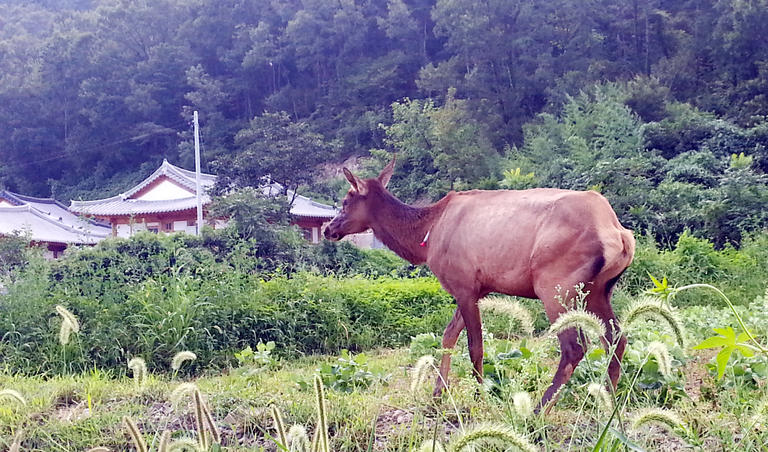 만든곳: 한국 네티즌본부 카페