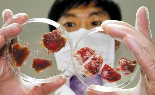 
 3일 오후 서울 양천구 신월동 국립과학수사연구원 유전자감식센터에서 한 연구원이 경찰에서 감식 의뢰한 쇠고기를 살펴보고 있다. 이 쇠고기는 한우로 판매됐지만, 감식 결과 한우가 아닌 것으로 드러났다
