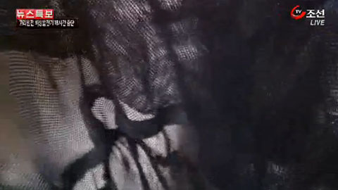 video_0