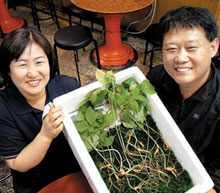 
	산삼 36뿌리를 캔 상규(오른쪽)씨와 아내 최희은씨.

