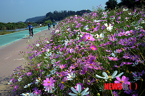 만든곳: 한국 네티즌본부 카페