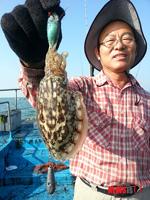 만든곳: 한국 네티즌본부 카페