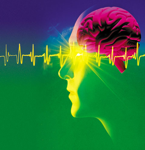 '뇌'비게이션을 켜라 그래픽