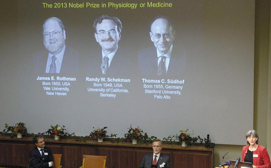 노벨 생리의학상위원회 줄린 지래스(맨 오른쪽) 의장이 7일 스웨덴 스톡홀름 카롤린스카 인스티튜트에서 제임스 로스먼, 랜디 셰크먼, 토마스 쥐트호프 등 2013년도 노벨 생리의학상 수상자를 발표하고 있다. /로이터 뉴시스
