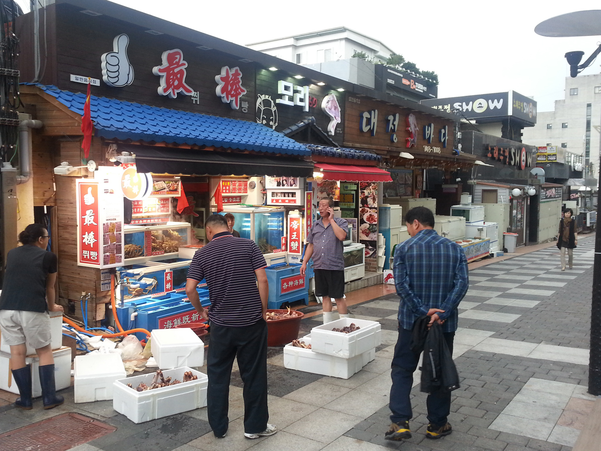 만든곳: 한국 네티즌본부 카페