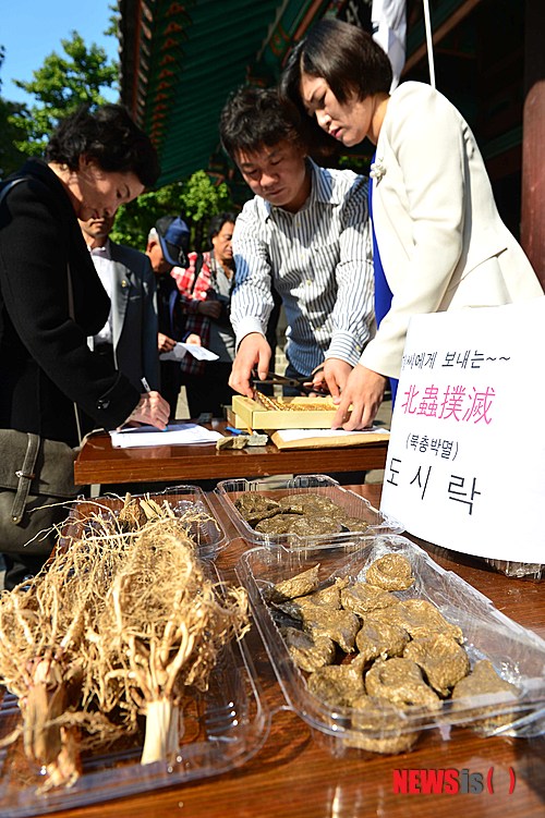 만든곳: 한국 네티즌본부 카페