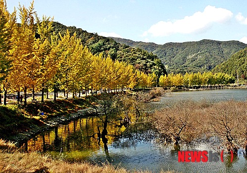 만든곳: 한국 네티즌본부 카페