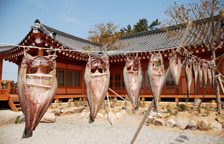 만든곳: 한국 네티즌본부 카페