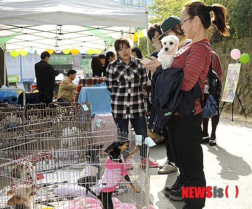 만든곳: 한국 네티즌본부 카페