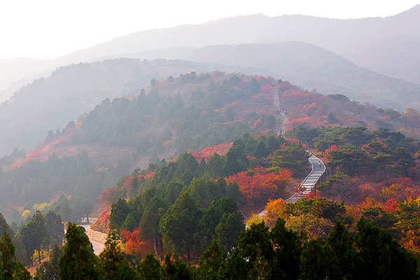 중국 최고 단풍 명소 꼽히는 베이징의 시산궈쟈성린공원.