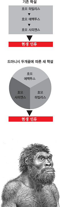 
 드마니시 두개골을 토대로 복원한 인류의 조상 상상도. photo 사이언스
