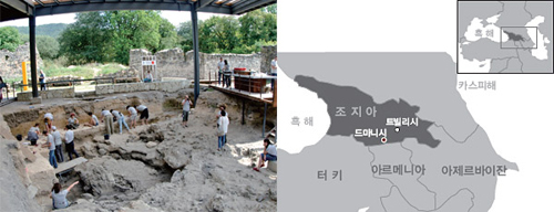 
 조지아 드마니시의 발굴 현장. 

