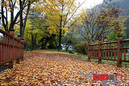 만든곳: 한국 네티즌본부 카페