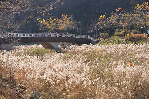 지난 2010년 조성한 문경자연생태공원의 모습.