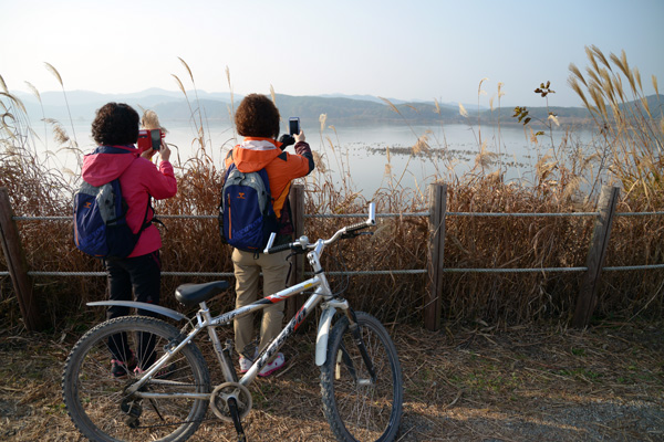 자전거 2코스에서는 우포늪의 전경과 철새를 감상할 수 있다.