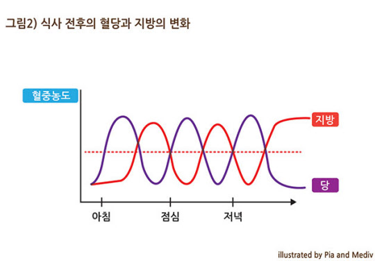 뱃살과 허벅지의 전쟁